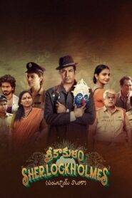 Srikakulam Sherlock Holmes (2024) Hindi Dubbed WEBRip
